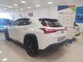 Lexus UX 250h Business City 2WD Blanco - thumbnail 3