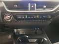 Lexus UX 250h Business City 2WD Blanco - thumbnail 14