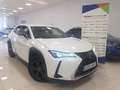 Lexus UX 250h Business City 2WD Blanco - thumbnail 1