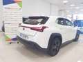 Lexus UX 250h Business City 2WD Blanco - thumbnail 4