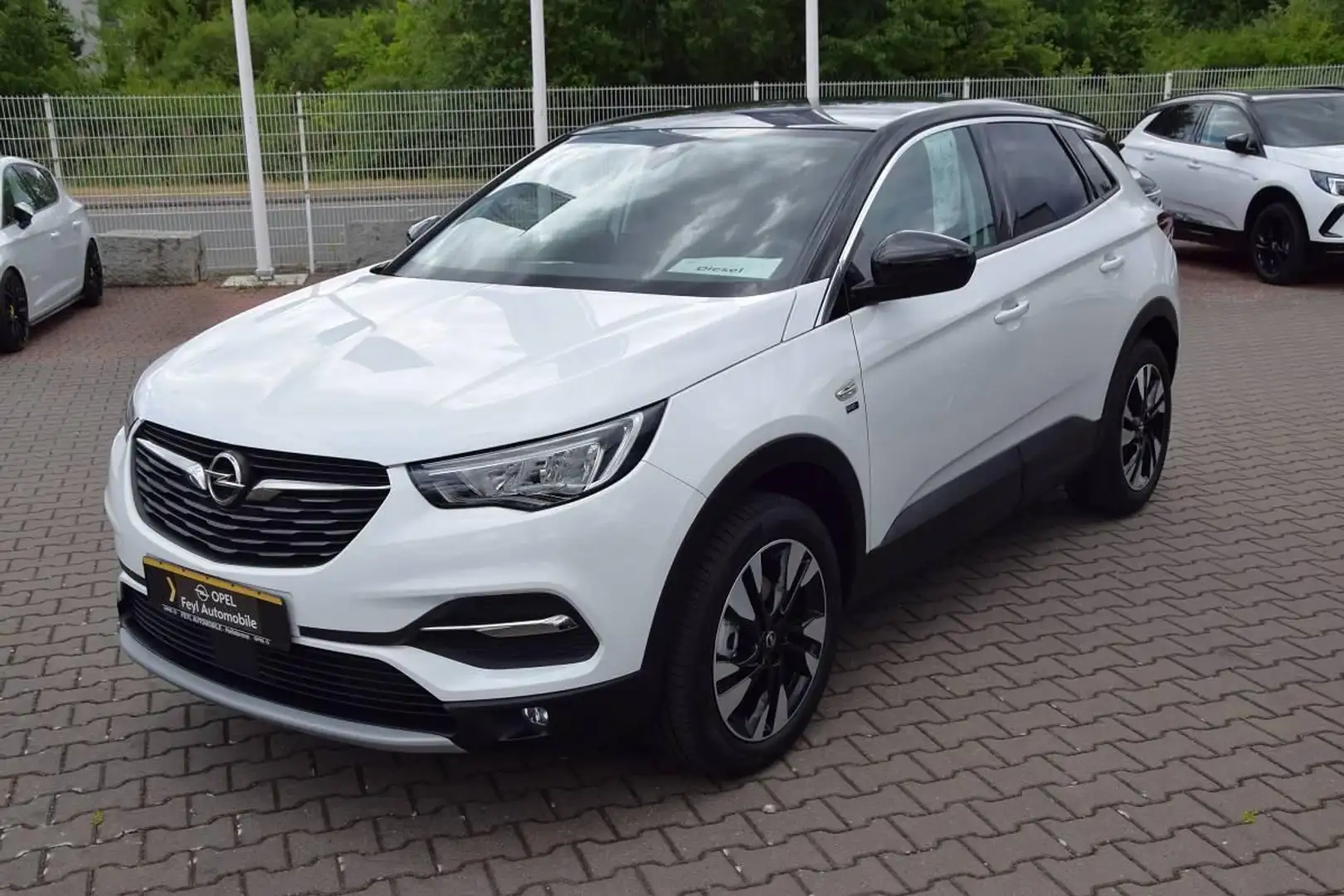 Opel Grandland X 1.5 Diesel "2020" AT, AHK Wit - 2
