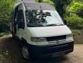 Peugeot Boxer Boxer OFF GRID CAMPER - thumbnail 14