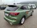 Ford Kuga 2,5 Duratec FHEV ST-Line X Aut. Grün - thumbnail 5