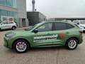 Ford Kuga 2,5 Duratec FHEV ST-Line X Aut. Grün - thumbnail 2
