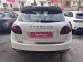 Porsche Cayenne 3.0 Diesel Platinum Edit. Bianco - thumbnail 5