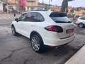 Porsche Cayenne 3.0 Diesel Platinum Edit. Bianco - thumbnail 4
