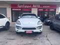 Porsche Cayenne 3.0 Diesel Platinum Edit. Bianco - thumbnail 2
