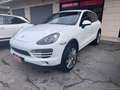 Porsche Cayenne 3.0 Diesel Platinum Edit. Bianco - thumbnail 3