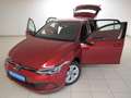 Volkswagen Golf VIII 1.0 eTSI DSG Life Bluetooth Navi LED Rot - thumbnail 4