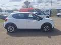 Citroen C3 BLUEHDI 75 BUSINESS COMBI N1 5 posti -  FN055RJ Bianco - thumbnail 7