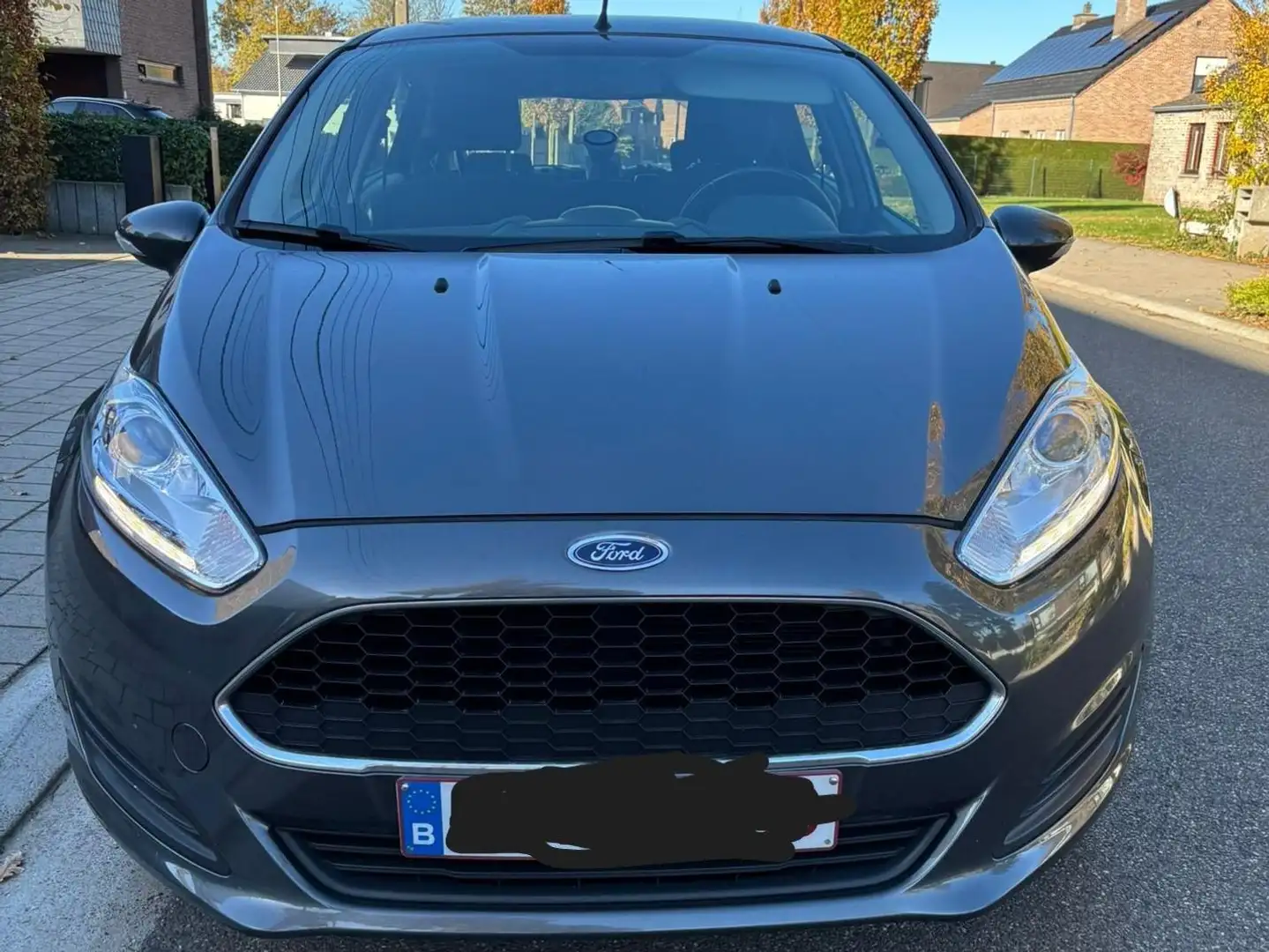 Ford Fiesta Fiesta 1.0 Trend Gris - 2