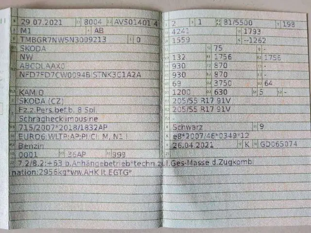 Skoda Kamiq view 16
