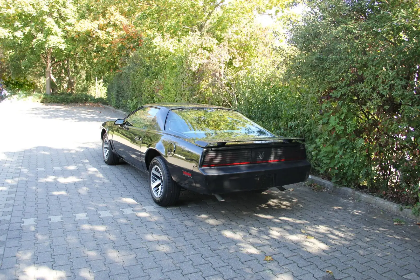 Pontiac Firebird V 8 4,9 L H Kennzeichen HU neu Schwarz - 2
