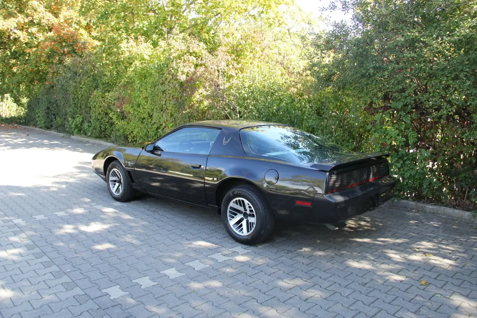 Pontiac Firebird V 8 4,9 L H Kennzeichen HU neu Schwarz - 1