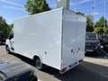 Renault Master L3 Evels-Leichtbaukoffer 1,11to. Nutzlast Wit - thumbnail 6