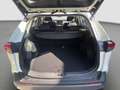 Toyota RAV 4 Toyota RAV4 Hybrid Allrad Active 2,5 Weiß - thumbnail 14