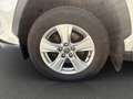 Toyota RAV 4 Toyota RAV4 Hybrid Allrad Active 2,5 Weiß - thumbnail 15