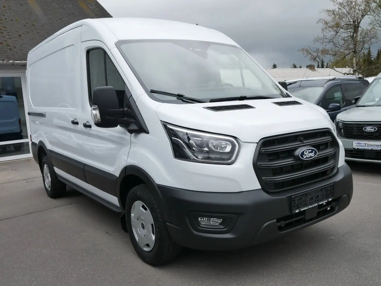 Ford Transit Trend Kasten 350 L2 Allrad Xenon AHZV 2