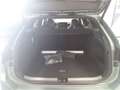 Volkswagen Passat Variant 2.0 TSI DSG R-LINE LM18 LEDER AHK Grün - thumbnail 5