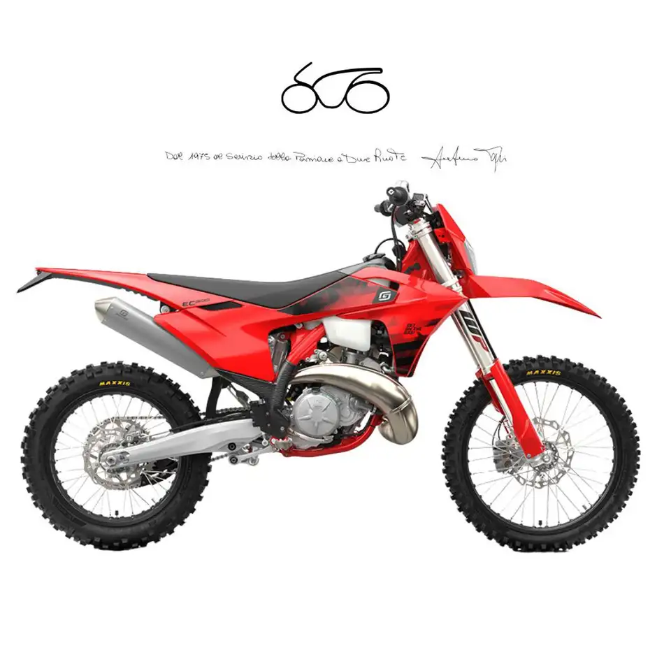Gas Gas EC 300