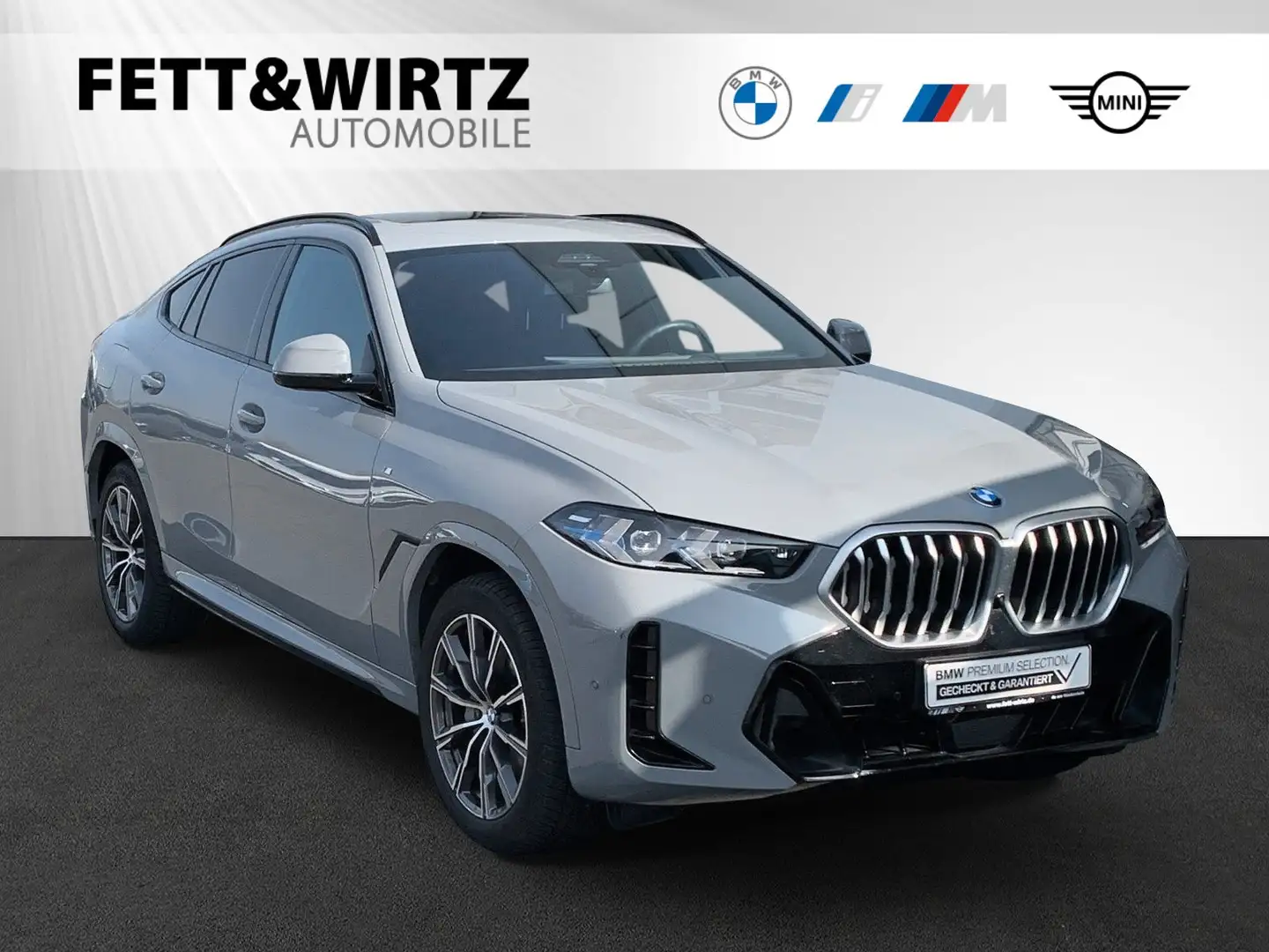 BMW X6 xDrive30d Individual-Nardograu|Panorama|AHK Weiß - 1
