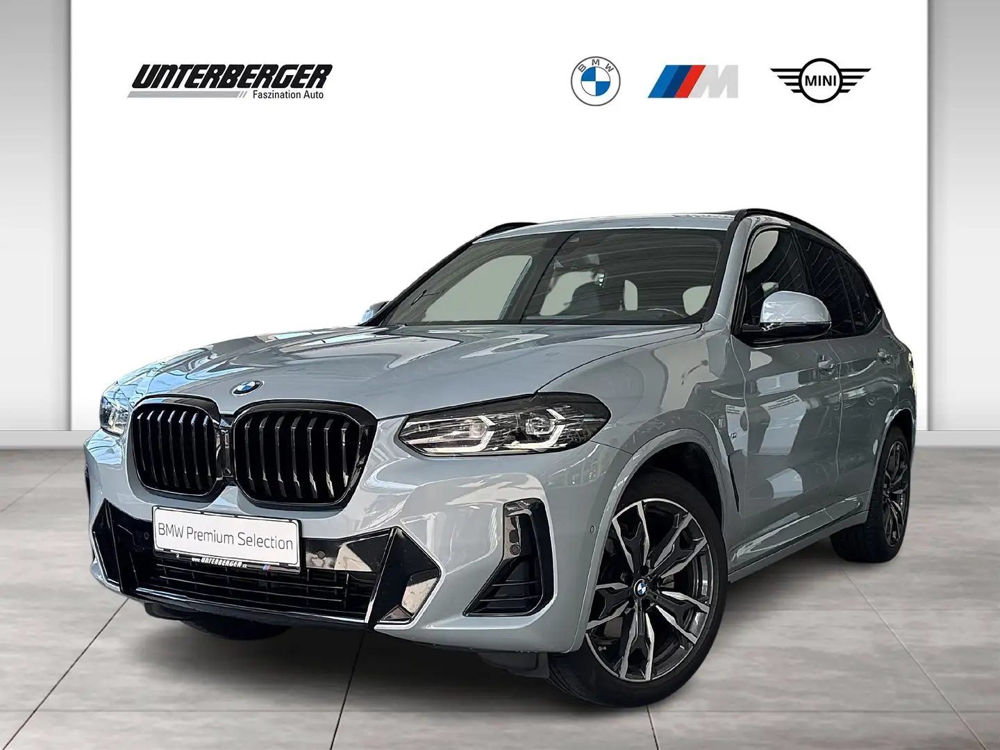 BMW X3 xDrive20d G01 B47 M Sportpaket HiFi DAB LED Grau - 1