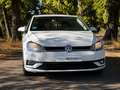 Volkswagen Golf 1.6TDI Last Edition 85kW Blanco - thumbnail 11
