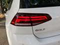 Volkswagen Golf 1.6TDI Last Edition 85kW Blanco - thumbnail 17