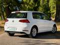 Volkswagen Golf 1.6TDI Last Edition 85kW Blanco - thumbnail 10