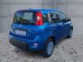 Fiat Panda Panda III 2024 1.0 firefly hybrid s Azul - thumbnail 5