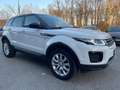Land Rover Range Rover Evoque Range Rover Evoque 2.0 TD4 150 CV 5p*Automatik*Aut Wit - thumbnail 5