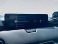 Mazda CX-60 2.5L e-SKYACTIV PHEV 327ps 8AT AWD HOMURA CO Rot - thumbnail 19