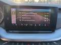 Skoda Octavia Combi TSI Ambition, ACC, AHV, Kamera, Keyless Grau - thumbnail 21