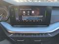 Skoda Octavia Combi TSI Ambition, ACC, AHV, Kamera, Keyless Grau - thumbnail 13