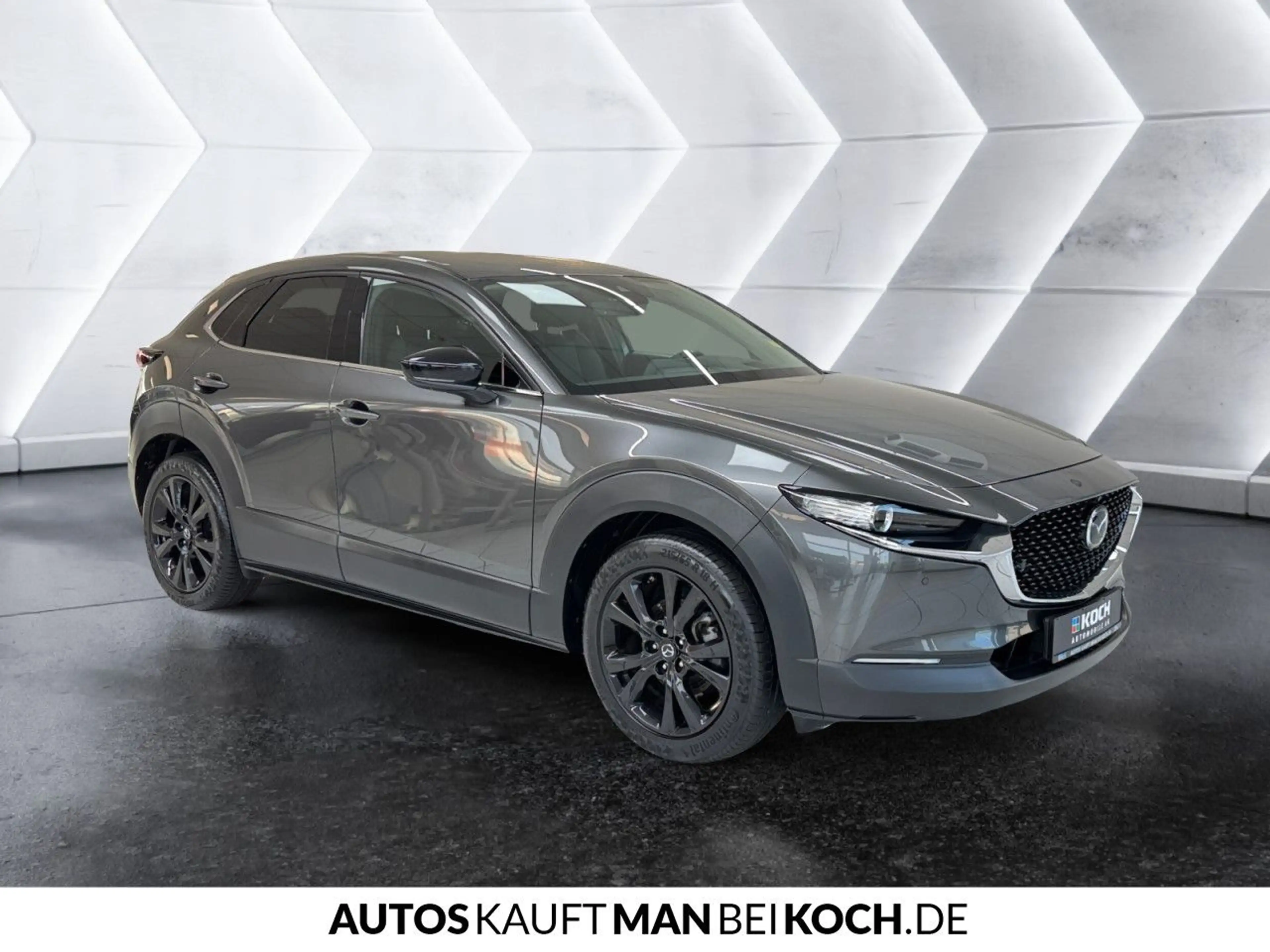 Mazda CX-30 2.0 SKYACTIV-G M Hybrid 150 Homura 2WD 360° — photo 6