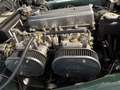 Triumph TR3 A Grün - thumbnail 3