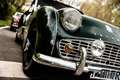 Triumph TR3 A Grün - thumbnail 5