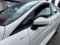 Ford Fiesta 1.0 EcoBoost Hybrid 125pk ST-Line X Mooie luxe uit Beige - thumbnail 13