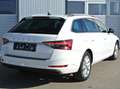 Skoda Superb Kombi 2.0 TDI DSG Style * LEDER * AHK * KAMERA Weiß - thumbnail 5