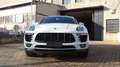 Porsche Macan 2.0 252cv pdk Bianco - thumbnail 3