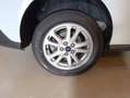 Ford Tourneo Connect Trend 1,5 EcoBlue L1 Weiß - thumbnail 7