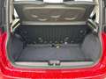Fiat New Panda 1.0 firefly hybrid s&s 70cv Rouge - thumbnail 7