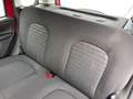 Fiat New Panda 1.0 firefly hybrid s&s 70cv Rouge - thumbnail 14