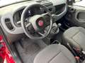 Fiat New Panda 1.0 firefly hybrid s&s 70cv Rouge - thumbnail 9
