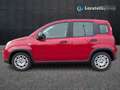 Fiat New Panda 1.0 FireFly Hybrid Rojo - thumbnail 3