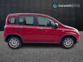 Fiat New Panda 1.0 firefly hybrid s&s 70cv Rouge - thumbnail 4