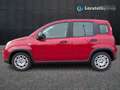 Fiat New Panda 1.0 firefly hybrid s&s 70cv Rouge - thumbnail 3