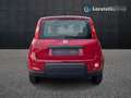 Fiat New Panda 1.0 FireFly Hybrid Rojo - thumbnail 6