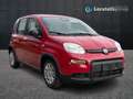 Fiat New Panda 1.0 firefly hybrid s&s 70cv Rouge - thumbnail 1