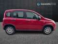 Fiat New Panda 1.0 FireFly Hybrid Rojo - thumbnail 4